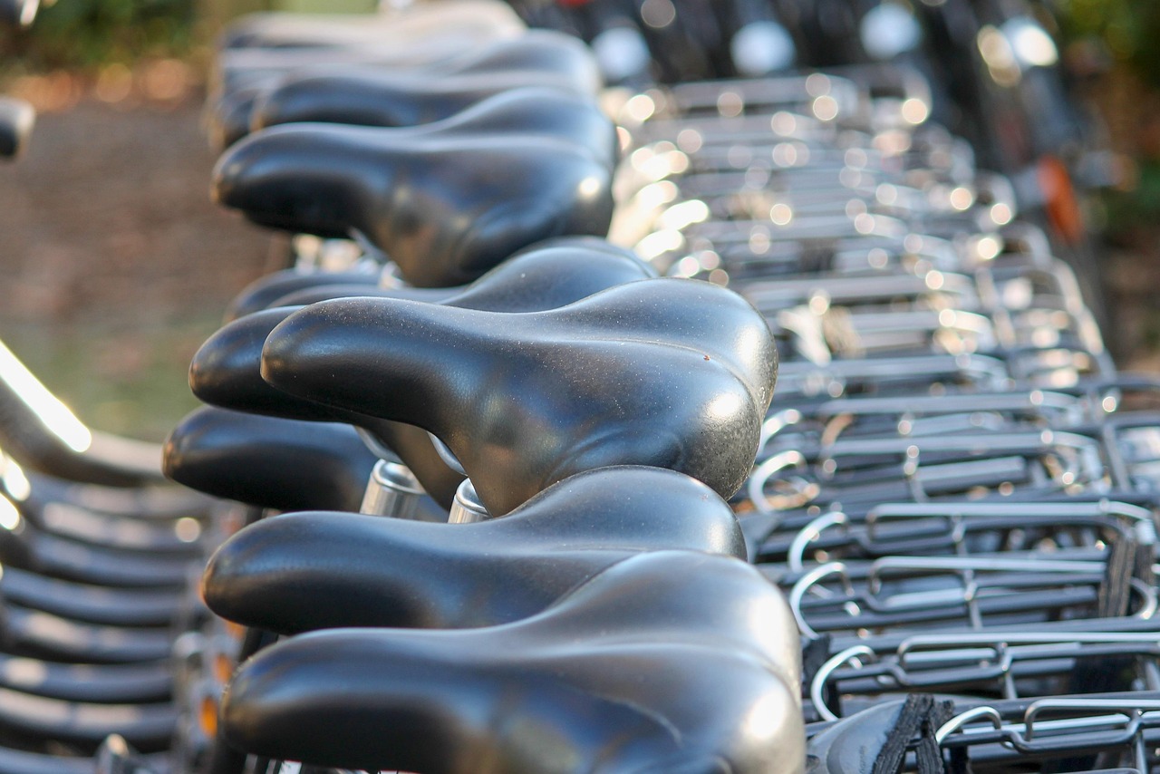 Saddle, cycles, to go biking — Estimating Legal Fees for Eviction in a Simple Case