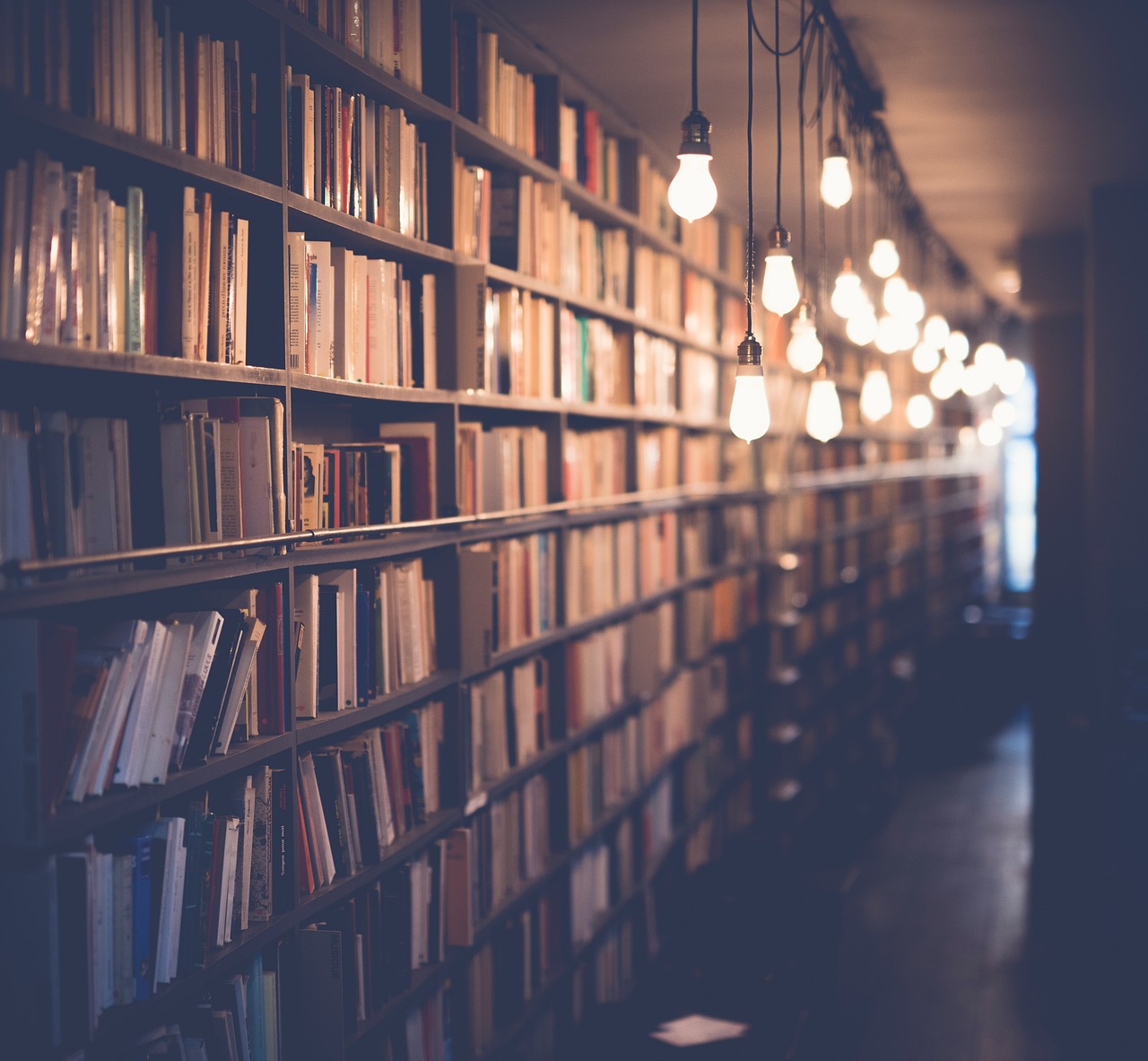 Books, library, room — Gap Year Abroad Program With Flexible Opportunities
